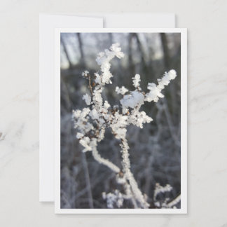 "Frostpoetry - invitation with Raureif branch"