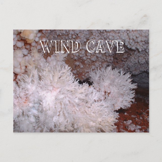 Frostwork and Popcorn Formations, Wind Cave, SD Postcard (Front)
