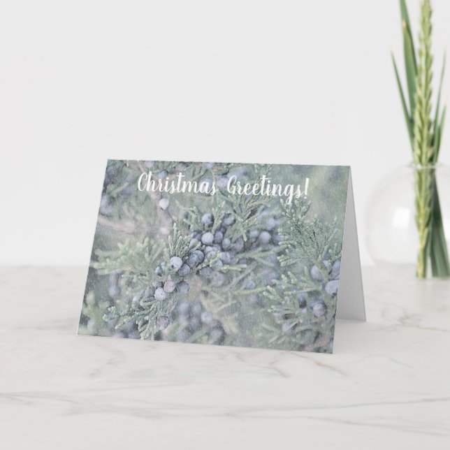 Frosty Blue Berries Christmas Holiday Card (Front)