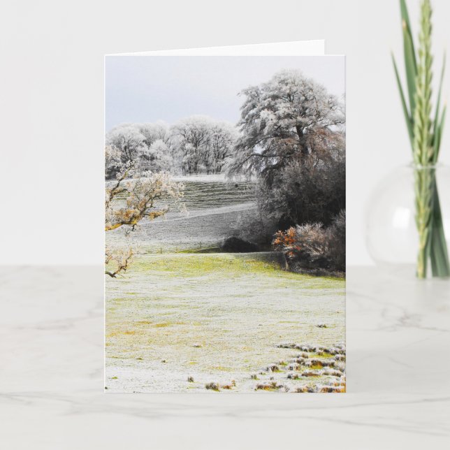Frosty fields and trees holiday card (Front)