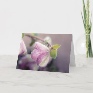 Frosty Helleborus Note  Card