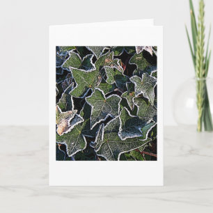 Frosty ivy card