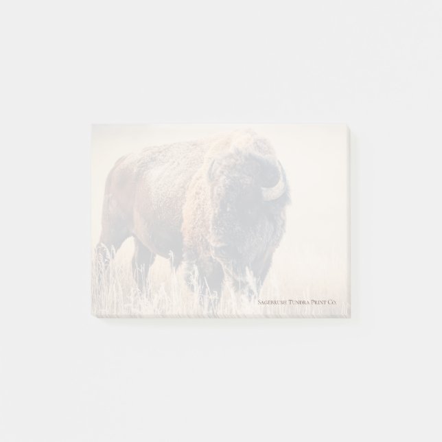 Frosty Morning - 3" x 4" Notes (Front)