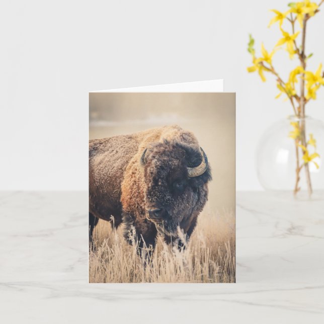 Frosty Morning - 4" x 5.6" Notecard (Yellow Flower)