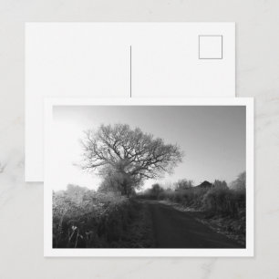 Frosty Morning: Cheshire Postcard