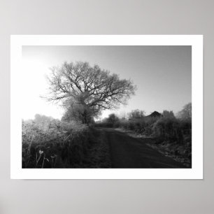 Frosty Morning: Cheshire  Poster