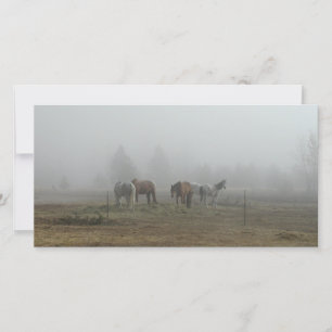 Frosty Morning Fog photo cards