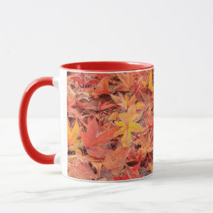 Frosty morning, Mill Creek, WA, USA Mug