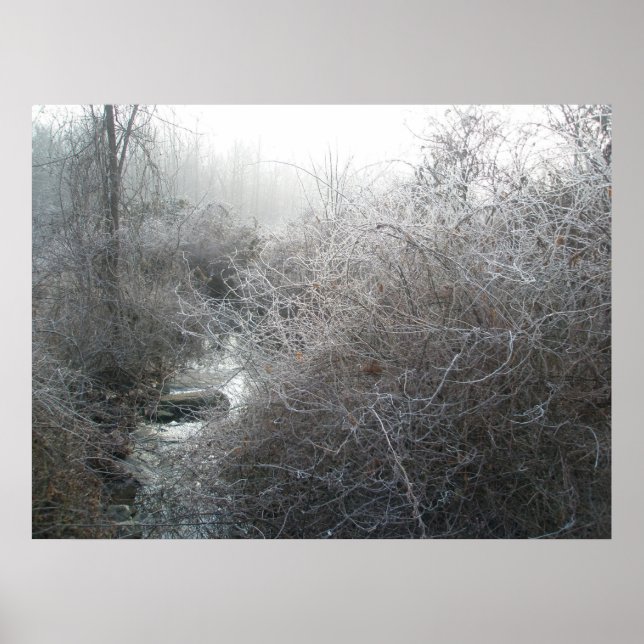 Frosty Morning on Price Road Poster (Front)