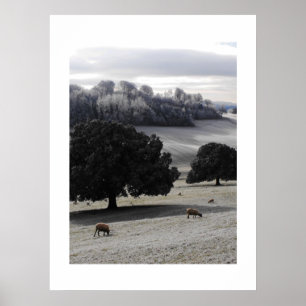 Frosty morning poster