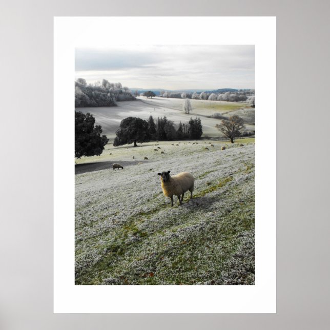 Frosty morning poster (Front)