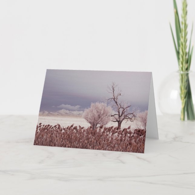 Frosty Morning View - Antelope Island - Utah Card (Front)
