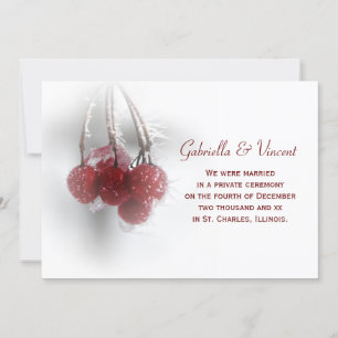 Frosty Red Berries Marriage/Elopement Announcement