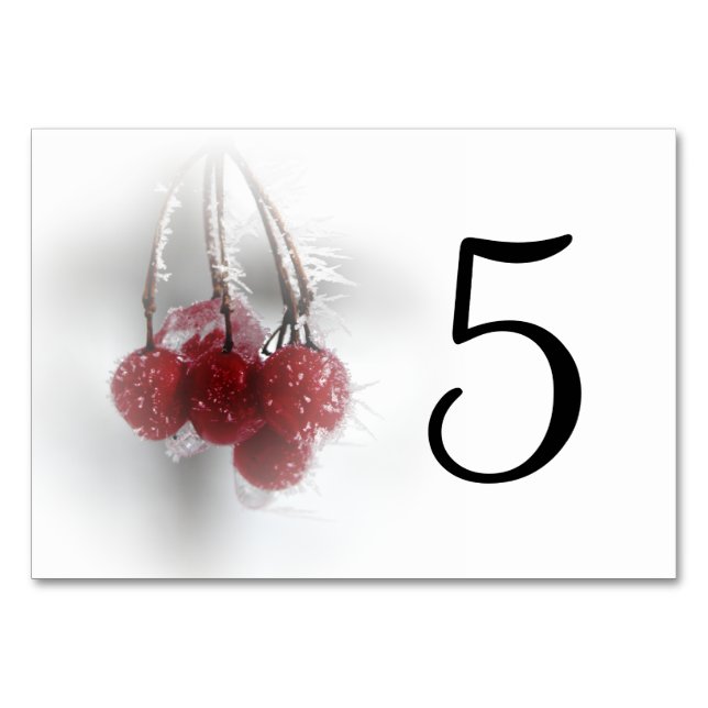 Frosty Red Berries Table Numbers (Front)