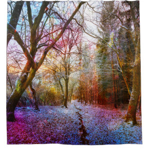 Frosty Sunny Morning In Woods