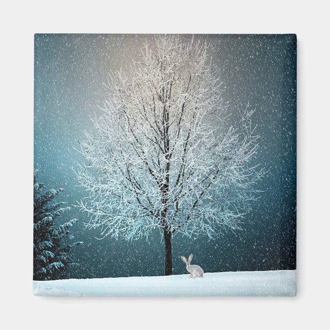 Frosty tree in the evening magnet (Front)