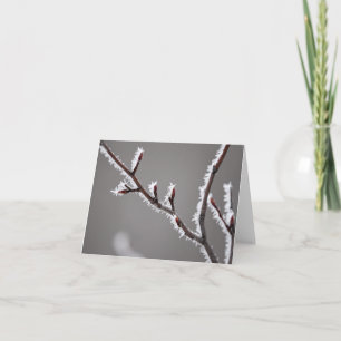 Frosty tree note card
