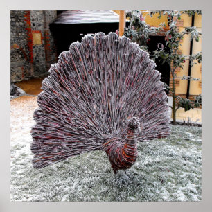 Frosty wickerwork peacock poster