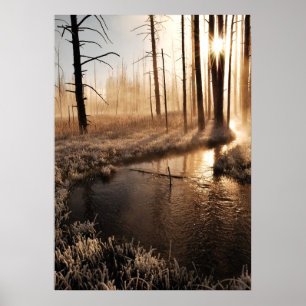 Frosty Yellowstone Morning Poster