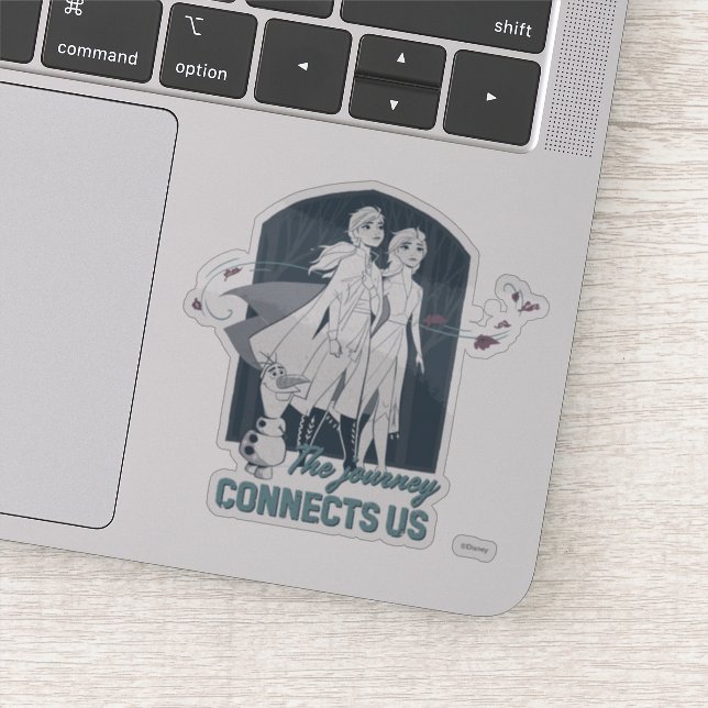 Frozen 2: Anna & Elsa | The Journey Connects Us (Detail)