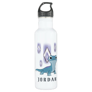 Frozen 2   Bruni & Fire Elements 710 Ml Water Bottle