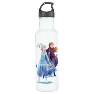 Frozen 2: Elsa & Anna Destiny Awaits! 710 Ml Water Bottle