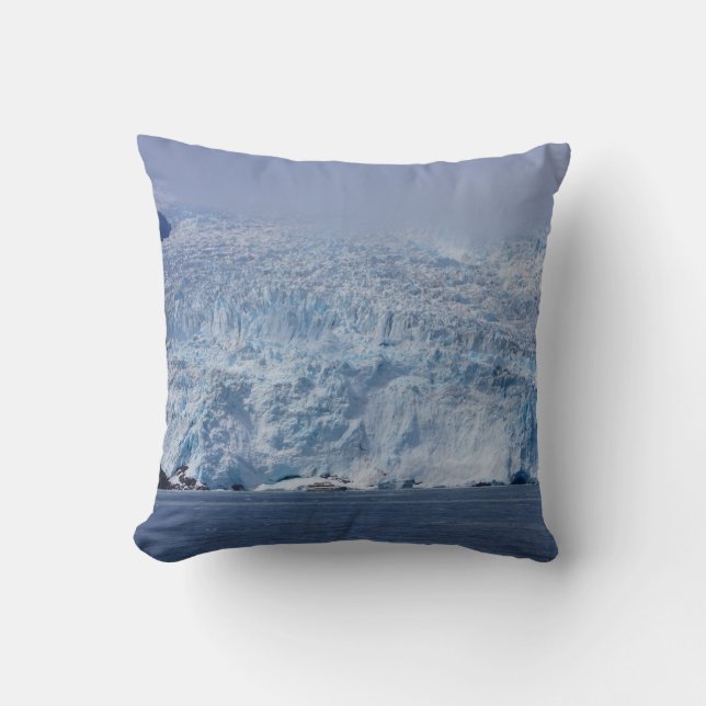 Frozen Beauty Throw Pillow (Front)