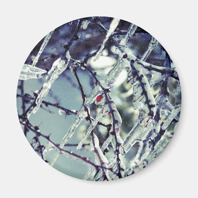 Frozen Berry Magnet (Front)