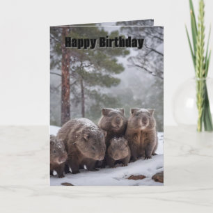 Frozen Burrow: Australian Wombat Family, Bday Card