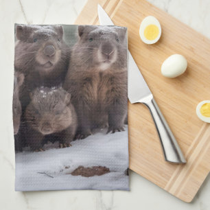 Frozen Burrow: Australian Wombat Family Kitchen Towel