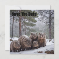 Frozen Burrow: Australian Wombat Family