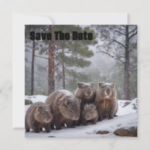 Frozen Burrow: Australian Wombat Family Save The Date