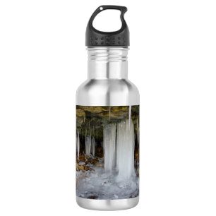 Frozen Cave Stainless Steel Water Bottle