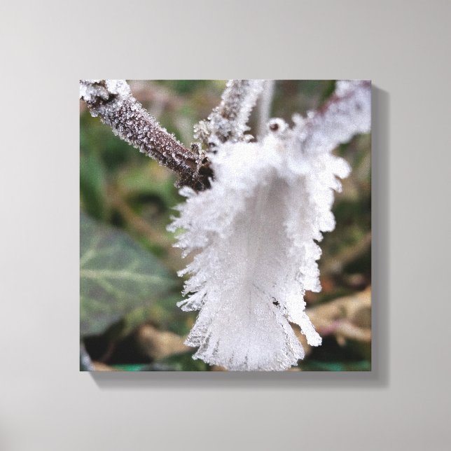 frozen feather canvas print (Front)