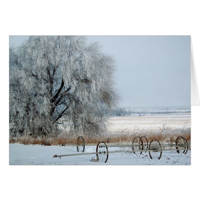 Frozen Field (Front Horizontal)