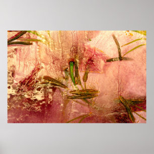 Frozen flowers and leaves. Blossoms in the ice cub Poster