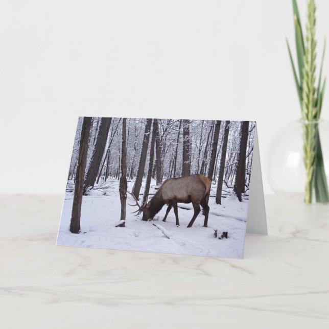 Frozen Forest Card (Front)