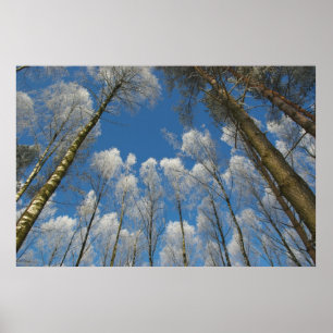 Frozen forest poster