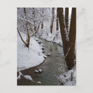Frozen forest river postcard
