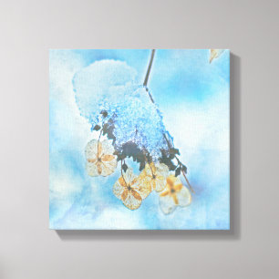 Frozen Hydrangeas Canvas Print
