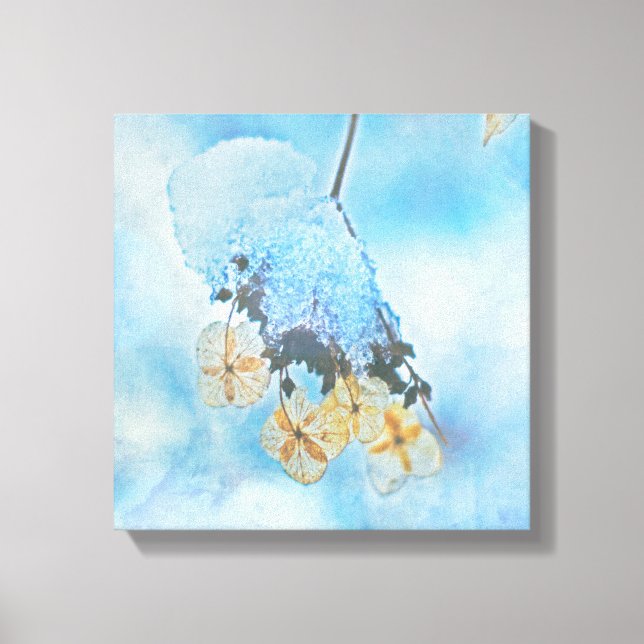 Frozen Hydrangeas Canvas Print (Front)