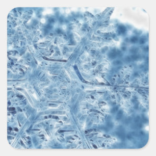 Frozen Ice Crystal Fractal Snowflake Square Sticker