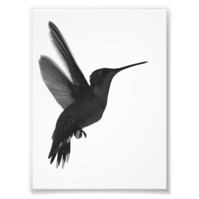 Frozen in Time Photo Print (Front)