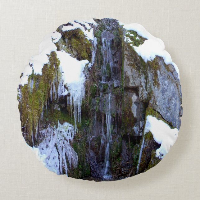 Frozen in time.... round pillow (Front)