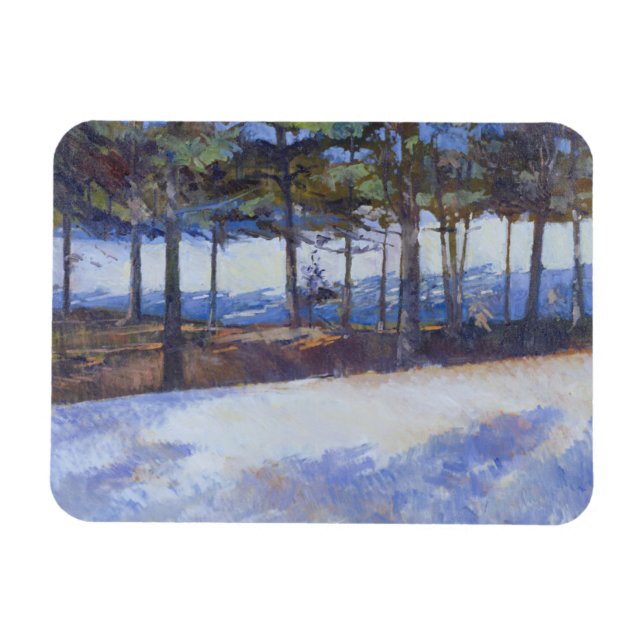 Frozen Lake New York State Magnet (Horizontal)