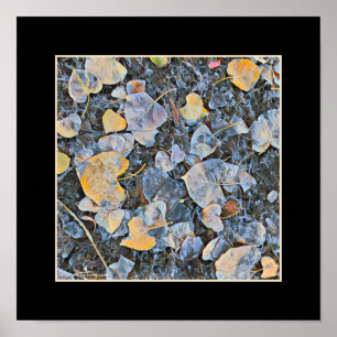 Frozen Leaves Poster