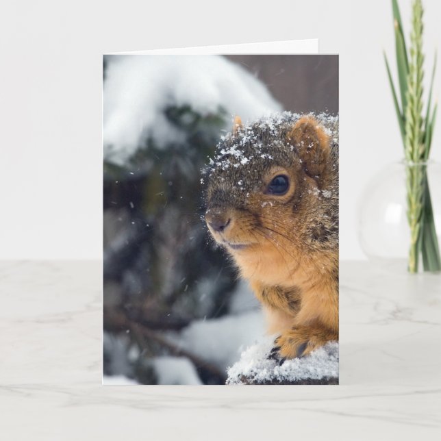 Frozen Nuts Get Well Soon Card (Front)