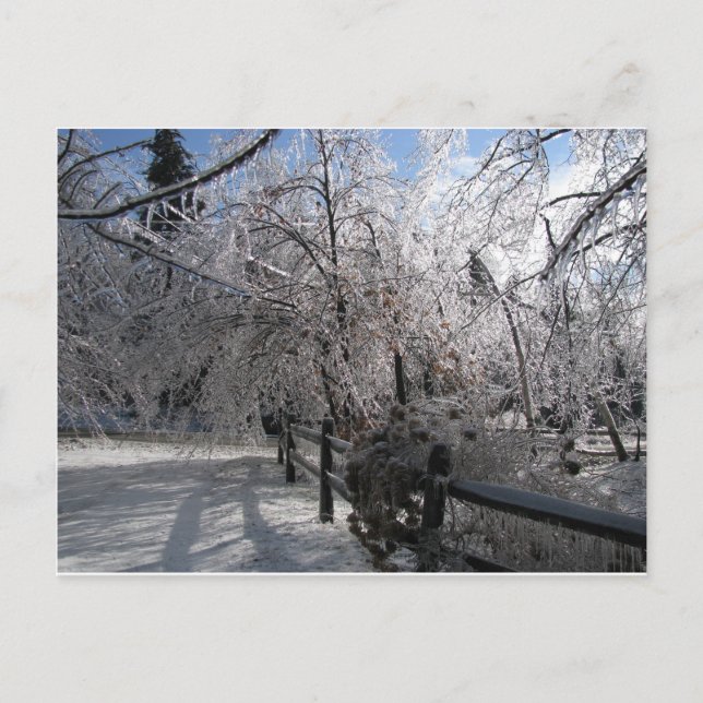 Frozen Postcard (Front)