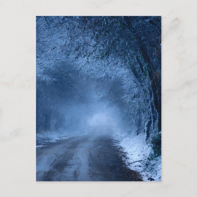 Frozen Postcard (Front)