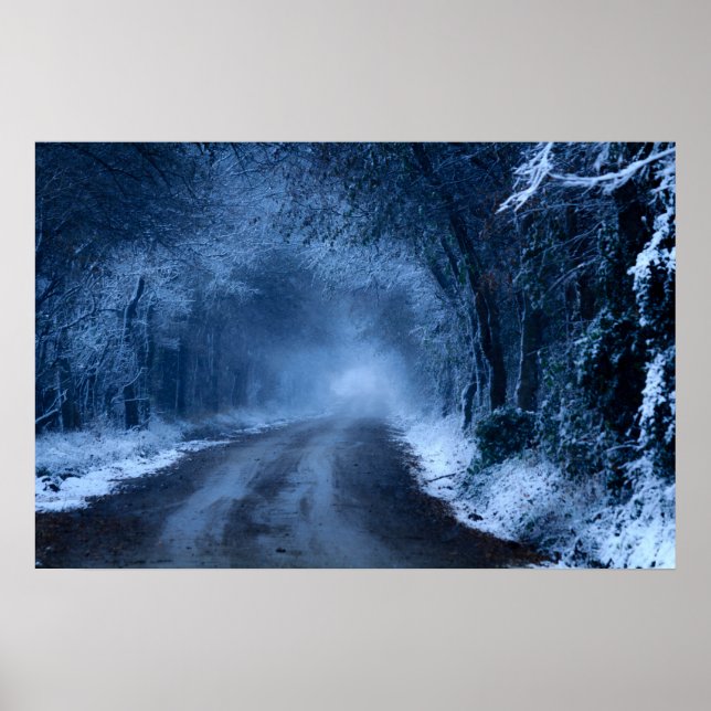 Frozen Poster (Front)